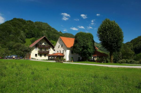 Отель Tourist Farm Zelinc, Церкно